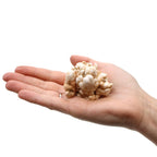 Dedo de cuarzo (min 5 piezas por paquete de 1 kg)